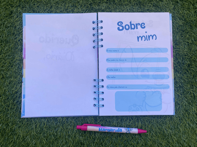 Diário Infantil